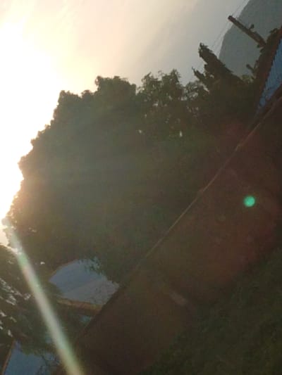 The image depicts a tree in Kporva, Nigeria, against a bright sky, possibly at sunset or sunrise. The sun's rays are visible, creating a lens flare effect. In the background, there's a glimpse of a hillside and what appears to be a structure with a dark, angled roof. The foliage of the tree is dense and dark, obscuring much of the background. A faint, circular green light is visible on the roofline, possibly a reflection or a light source.