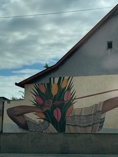 This image captures a large mural painted on the side of a building in Subotica, Serbia, viewed from a slightly upward angle against a cloudy sky. The mural depicts a person's torso and arm, holding a vibrant bouquet of flowers.
The visible part of the mural features an arm with dark skin, bent at the elbow, and a hand gripping the stems of a large bunch of tulips. The flowers are depicted in various shades of pink, yellow, and orange, surrounded by numerous long, dark green leaves. The person is wearing a light-colored garment with intricate blue striped patterns and lace-like details on the fabric. A thin, reddish-brown stick-like object extends diagonally across the mural, passing behind the arm and flowers.
To the upper left of the mural, the dark, sloping roofline of the building with a brown trim is visible, creating a strong diagonal line. A small, dark rectangular window is cut into the greyish-white wall higher up. The sky in the background is mostly covered with white and grey clouds, though patches of brighter blue are visible, indicating it is daytime. A thin black power line stretches across the sky in the upper left portion of the frame.
On the building wall, below the mural and to its right, the number "28" is visibly marked. The overall scene blends street art with architectural elements under a natural sky.