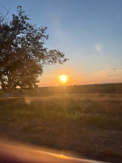 The image depicts a rural landscape at sunset. The foreground features a dirt road and a field of dry grass illuminated by the golden light of the setting sun. To the left, a large, mature tree with dark foliage stands silhouetted against the sky. In the background, rolling fields stretch towards the horizon, where a clear sky transitions from a pale blue at the top to a warm orange near the horizon. The sun, a bright, hazy orb, is visible in the center-right of the frame, casting a warm glow and lens flares across the scene. The overall atmosphere is serene and tranquil. The image does not contain any specific landmarks that would indicate its location in Slobozia, Moldova.