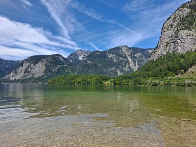 This image depicts a tranquil lake scene with a backdrop of majestic mountains and lush greenery. The foreground is dominated by the crystal-clear water of Hallstätter See, revealing the pebbly lakebed below. The water's surface is slightly rippled, reflecting the clear blue sky dotted with wispy white clouds.

In the mid-ground, a dense line of green trees runs along the lakeshore, creating a verdant contrast to the rocky mountains beyond. A small, quaint building is nestled amongst the trees on a gentle slope, hinting at human presence. Further in the distance, the rugged, layered slopes of the Dachstein mountain range rise dramatically, their peaks partially obscured by the dense forest. The sheer rock faces of the mountains are streaked with lighter and darker shades, indicating their geological composition.

The overall impression is one of natural beauty and serenity, characteristic of the Austrian Alps. The specific location is the shore of Hallstätter See, likely near the town of Obertraun, Austria, a popular tourist destination known for its stunning alpine scenery. There are no people or animals visible in the frame. The lighting suggests a bright, sunny day.
