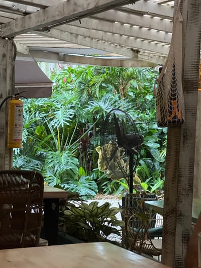 A whimsical outdoor setting, featuring lush greenery filling the central view. A black metal fan stands amongst the plants, adding a touch of industrial decor. Rustic white-painted wood structures frame the scene, with glimpses of a white-slatted ceiling. A yellow fire extinguisher sits near the bottom edge. Wicker-style furniture adds a relaxed atmosphere.