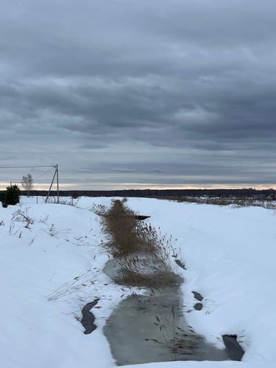 The image displays a winter landscape in Kalinino, Russia, characterized by heavy snow cover under an overcast sky. The sky is dominated by thick, dark grey clouds, with a faint horizontal band of lighter grey and a subtle warm hue visible along the horizon line. In the foreground and mid-ground, a narrow ditch or canal, partially obscured by snowdrifts, runs from the lower center towards the distant horizon. The water within this channel is partially frozen, showing irregular patches of open, dark water alongside areas covered with thin ice. Tall, dried reeds or grasses, light brown in color, grow densely along the banks of the ditch, leaning over and into the water. The surrounding ground is blanketed in deep, undisturbed white snow. To the left of the frame, in the mid-ground, a utility pole with horizontal cross arms and overhead wires is visible, accompanied by a single leafless deciduous tree and a small, conical evergreen shrub. The far background features a dense, dark horizontal line of evergreen trees, indicating a forest or wooded area. No human figures, animals, or explicit actions are present in the scene.