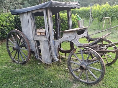 This media file depicts an antique wooden carriage situated outdoors in a grassy area with lush green foliage and grapevines in the background. The carriage is weathered, with peeling paint and visible signs of age, suggesting it may be a decorative piece rather than functional. It has large spoked wooden wheels, a black canvas roof, and an open passenger area.
On a wooden plank extending from the carriage, a metallic bucket holds a green glass bottle, possibly a wine bottle given the vineyard setting. The scene is bathed in natural light, indicating it is daytime, and the weather appears fair. The location cues, particularly the grapevines and the mention of Pozzuoli, Italy, suggest a rural or vineyard setting in that region. There are no people visible in the image, and the overall mood is one of rustic charm and perhaps nostalgia. The carriage itself is the primary subject, presented as a still-life object within its natural environment.