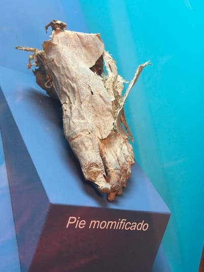 The image shows a mummified foot resting on a blue display case. The foot is dried and shriveled, with visible skin and bone. It is positioned at an angle, with its toes pointing upwards. The display case has text written on its side in white letters, which reads "Pie momificado". The background is a solid blue color, suggesting an indoor setting such as a museum or exhibition. The lighting is even, and there are no shadows to indicate a specific time of day or weather conditions. The overall impression is of a preserved artifact on display, likely for educational or historical purposes. The location context indicates the display is in La Cuesta, Spain.