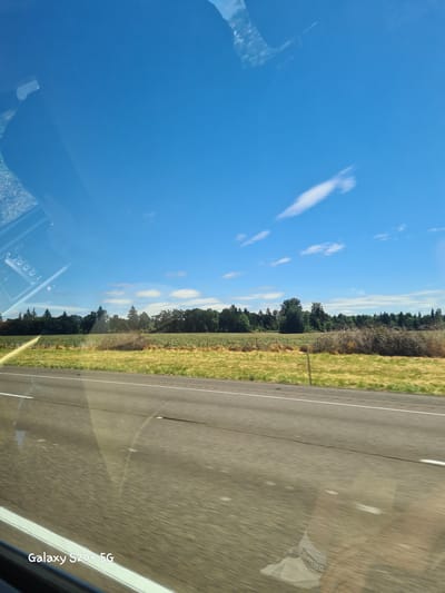 A car's dashboard is reflected in the windshield, partially obscuring a landscape. The sky is a clear, bright blue with scattered white clouds. Below the sky, a line of dark green trees forms a distant treeline. In front of the trees, a field of dry, yellow-green grass stretches across the middle ground. A gray asphalt road with white lane markings occupies the foreground. The timestamp "Galaxy S20+ 5G" is visible in the bottom left corner of the image. The scene depicts a roadside view from within a moving vehicle.