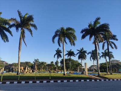 A park scene under a clear blue sky features several tall palm trees along a wide paved area with a black and white striped curb. A green lawn is bordered by trees and includes a fountain with rock formations, and a stone monument. A few people are visible in the park, enjoying the sunny day.