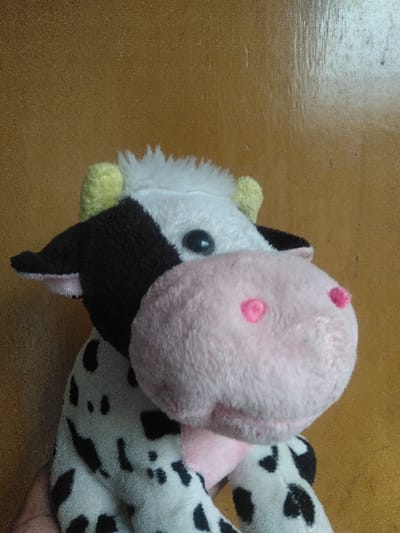 The image presents a plush toy cow, predominantly white with irregular black spots, consistent with a Holstein pattern. Its head features a shaggy white top, black ears with visible pink inner lining, and two small, light yellow, stubby horns. The toy has large, round, black button eyes and a prominent, soft pink snout with two distinct smaller pink circular nostrils. A human hand, exhibiting brown skin tones, is partially visible at the lower left, actively holding and supporting the toy. The background consists of a uniform, textured, light brown surface, indicating an indoor setting, possibly a wall or a door panel. This scene occurs within an unspecified interior location in Saint-Gilles - Sint-Gillis, Belgium.