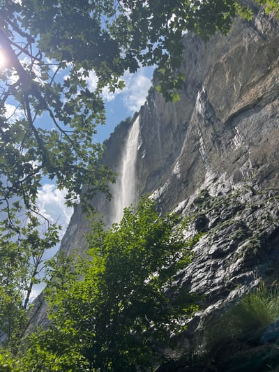 The image depicts the Staubbach Falls in Wengen, Switzerland. The waterfall cascades down a sheer, gray rock face that dominates the frame. Lush green foliage, consisting of trees with broad leaves, frames the left and bottom portions of the image. The sky above is a bright blue with scattered white clouds. Sunlight glints through the leaves on the left side, casting a lens flare. The rock face appears wet and streaked, suggesting the constant flow of water. Patches of green vegetation, likely mosses and grasses, cling to the rock in places. The perspective is looking upwards towards the top of the waterfall and cliff face.