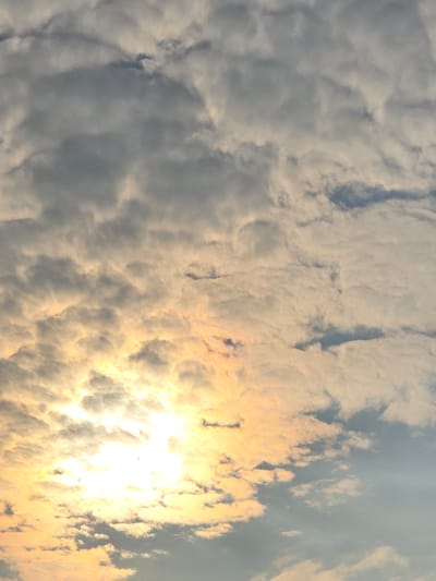 The image shows a cloudy sky with the sun shining through the clouds, creating a bright, golden glow in the center and on the left side of the frame. The clouds are varied in texture and color, with some appearing dark gray and others lighter, tinged with yellow and orange from the sunlight. The overall impression is of a dynamic sky, possibly at sunrise or sunset, with atmospheric conditions creating a dramatic visual effect. The location is identified as Ермолаевский Затон, Russia.