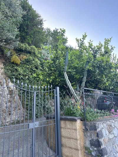A slightly skewed medium shot depicts a wrought iron fence in Rina, Italy, fronting a garden overflowing with greenery. The fence, painted gray, is set against a backdrop of ivy, trees, and flowering plants, creating a dense, natural barrier. A prominent cactus stretches horizontally across the top of the fence, partially obscured by the foliage. A stone wall and architectural detail are visible to the right of the fence, adding to the historical and environmental context of the location. The angle of the shot suggests the photographer was positioned below the fence line, looking upward toward the garden. The overall scene evokes a sense of overgrown natural beauty typical of the region.