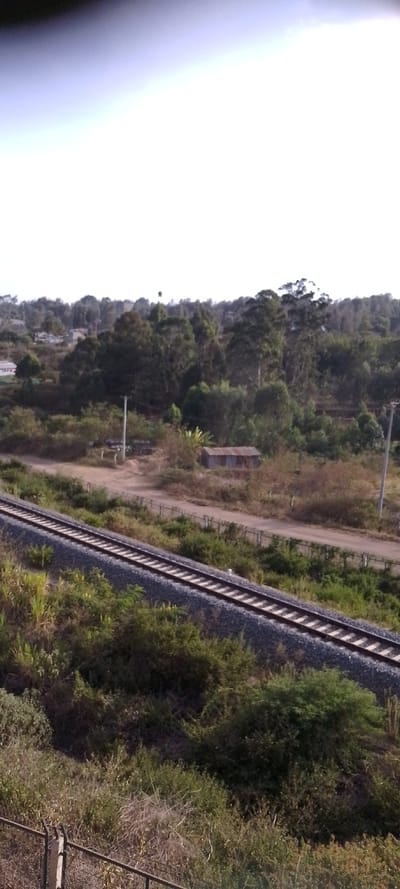 The image captures an elevated, outdoor view of a landscape featuring a railway line, a dirt road, and extensive vegetation under a bright sky. The perspective looks down onto the scene, giving a sense of distance from the subjects.

In the mid-ground, a single railway track runs diagonally from the lower left towards the middle right of the frame. The track consists of two parallel metal rails resting on sleepers (ties), which are laid on a bed of grey gravel ballast. Green and dry bushy vegetation, along with some taller grasses, flanks the railway track, particularly on the left side.

Parallel to the railway track and slightly higher in elevation, there is a light brown, unpaved dirt road or path. A simple fence, possibly made of wire, runs along one side of this road, with visible posts. Further beyond the dirt road and slightly to the right of the center, a small, rustic structure with a corrugated metal roof and weathered walls is visible, appearing to be a shed or a small dwelling. Two utility poles can also be seen, one to the left of the small structure and another further to the right.

The background is dominated by a dense line of trees, suggesting a heavily forested or vegetated area, possibly a hill or a rising landscape. Scattered among and behind these trees, faint outlines of several buildings with light-colored roofs can be discerned, indicating a distant rural settlement or village.

The foreground, at the bottom of the image, shows more green and dry shrubbery, along with a partial view of a dark railing or fence on the lower left.

The sky, occupying the top portion of the image, is very bright and overexposed, appearing almost entirely white with some faint light grey or blue hues. This bright sky, combined with the visible light on the landscape, suggests it is daytime, likely during a sunny period. The overall scene conveys a rural or semi-rural setting, possibly during a dry season, with a mix of natural and man-made elements. No specific text is visible in the image.
