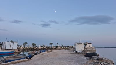 This media file captures a serene twilight scene at a small harbor in Taranto, Italy. The sky is a soft gradient of blue, with a few wispy clouds and a small, pale moon visible. The setting is a waterfront with a gravelly path leading to the water's edge, where several small fishing boats are docked. These boats, in shades of blue and red, are empty, suggesting a quiet time for the fishermen.
Along the water's edge, there are a few small, white structures that appear to be huts or sheds, possibly related to fishing activities. Some are simple, box-like structures, while others have a more decorative facade, adorned with what look like small pillars or ornaments. Trees are sparsely planted along the background, and in the distance, a thin line of vegetation marks the far shore of the body of water. The water itself is calm, reflecting the subdued light of the sky.
The overall mood of the image is peaceful and tranquil, indicative of the early morning or late evening hours. There is no visible text within the image. The scene evokes a sense of quietude and the everyday rhythm of a coastal community.