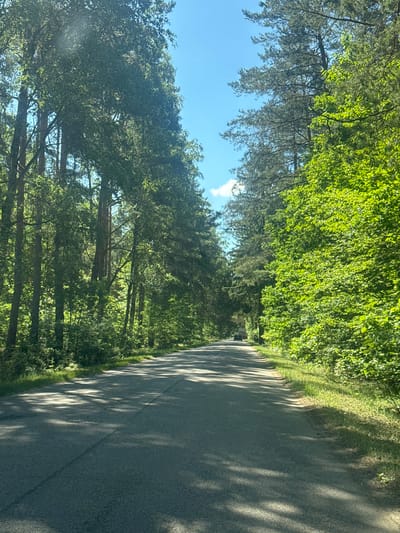 A view from a vehicle driving on a paved road through a sun-dappled forest. The road is asphalt with a visible white line marking the center. Lush green trees with dense foliage line both sides of the road, creating a tunnel-like effect. Sunlight filters through the leaves, casting dappled shadows on the road surface. In the distance, a dark-colored car is visible driving in the same direction. The sky is blue with a few scattered white clouds. The overall scene depicts a peaceful, natural environment on a clear day. This image was captured in Popowo-Parcele, Poland.