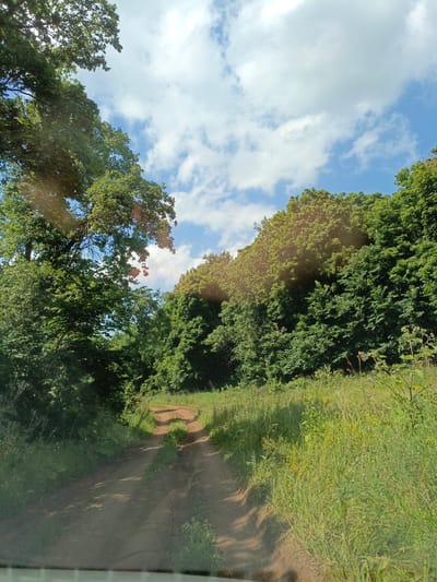 A dirt road winds through a densely wooded area on a partly cloudy day. The road is rutted, suggesting it is used by vehicles. Lush green trees line both sides of the road, creating a canopy that partially obscures the sky. The ground on either side of the road is covered in tall grass and wildflowers. The overall impression is one of a rural or natural setting, likely within a forest or park area. No people or specific structures are visible.