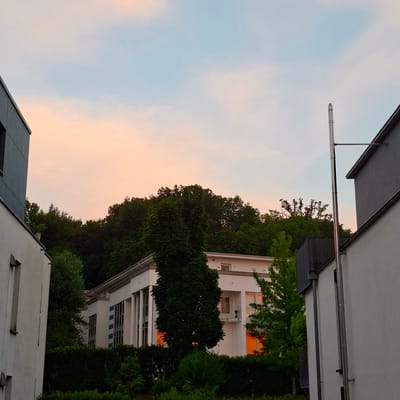 The image depicts a view of buildings and trees against a twilight sky in Baden-Baden, Germany. In the foreground, to the left, is the side of a modern building with a dark gray facade and a narrow, vertical window. To the right, another building with a white facade is partially visible, featuring a chimney pipe attached to its side and a sloping dark gray roof.
The mid-ground is dominated by a white, modern-style building with large windows. Some of these windows reflect the warm hues of the sunset, showing oranges and yellows. A balcony with a dark railing is visible on the second floor. In front of this building, a dense, dark green hedge lines the property. A tall, dark green tree stands prominently in front of the white building.
Behind the buildings, a thick band of dark green trees forms a natural backdrop, extending to the horizon. The sky above transitions from a soft pinkish-orange near the horizon to a pale blue at the top of the frame, with faint wisps of clouds. The overall scene suggests a serene evening in a semi-urban or suburban setting within Baden-Baden.