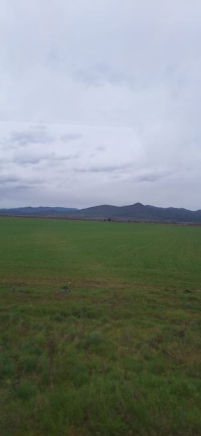 The image shows a landscape in Manolovo, Bulgaria. The scene is divided vertically, with a cloudy sky on the left and a grassy field on the right. A mountain range forms a blurred border between the sky and the field. The grass transitions in color from green to darker green as it moves towards the right. There are no people, subjects, objects, actions, or interactions clearly discernible in the image beyond the natural elements.