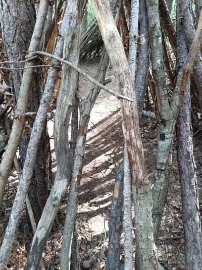 A dense collection of fallen branches and logs are arranged to form a rudimentary shelter or fort in a wooded area. The foreground is dominated by the rough, textured bark of these branches, with sunlight dappling through the gaps, casting shadows on the ground below. The ground is covered with dry leaves and twigs, indicative of a forest floor. In the background, the arrangement of branches extends further, creating a tunnel-like effect leading into the denser part of the woods. The overall impression is one of a natural, rustic structure built by hand. This scene appears to be located in the Parc de la Londe Les Eaux in Évreux, France, a large park known for its walking trails and natural landscapes. There are no people or animals visible in the image.