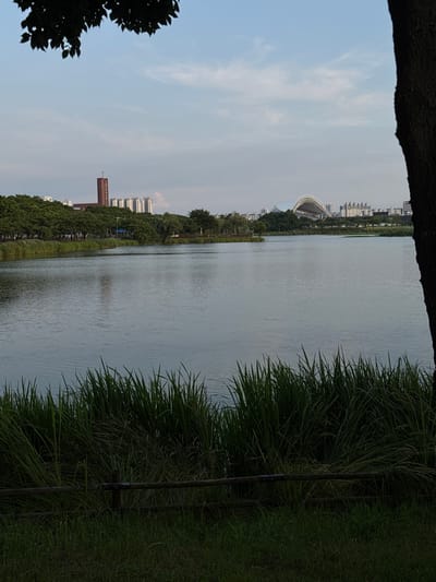 The image depicts a serene lake in Ansan, South Korea, under a hazy sky. In the distance, a red tower with a cross on top stands prominently, alongside a cluster of modern apartment buildings. Further to the right, a large, arched stadium structure is visible, also surrounded by urban development. The foreground is dominated by lush green grass and tall reeds, with a rustic wooden fence separating the viewer from the water's edge. The lake's surface reflects the muted tones of the sky and distant structures, creating a tranquil atmosphere. No people are visible in the image.