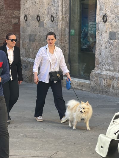 An outdoor scene in Siena, Italy, captured during daylight, features a woman walking a fluffy cream-colored dog on a leash. The woman, with dark hair pulled back, wears a white long-sleeved shirt, black trousers, and light-colored sneakers, carrying a black shoulder bag with gold hardware. She holds a blue retractable leash in her right hand, smiling slightly towards the viewer. Her dog, a Pomeranian or similar breed, stands attentively beside her, looking towards the camera.
In the lower left, another person is partially visible, wearing sunglasses, a white shirt, and a black blazer. Further down, the legs of a third person, dressed in dark trousers and a blue top, can be seen. The setting appears to be a pedestrian area with stone paving and a building wall constructed from rough-hewn stone blocks. Several circular metal rings are embedded in the stone wall.
A large window in the building wall reveals a poster or display. Visible text on the poster reads: "È PIÙ CHE PARTECIPARE AL PIÙ GRANDE EVENTO SPORTIVO AL MONDO. È PROMUOVE LA BELLEZZA DEL NOSTRO PAESE." (Translating to: "It's more than participating in the biggest sporting event in the world. It's promoting the beauty of our country."). The poster also features an image of mountains. The overall atmosphere suggests a casual stroll on a clear, bright day.