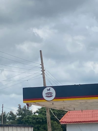 This image, taken in Sasaro, Nigeria, captures an outdoor scene under an overcast sky filled with light grey clouds. The main subject is a portion of a commercial building, likely a gas station canopy, shown horizontally across the middle of the frame (if rotated upright). This structure features a prominent dark blue section with a yellow and a narrower red stripe running horizontally, and a lighter-colored beam or support beneath.
A circular white sign is affixed to the structure, displaying the text "MRS" and a logo resembling a deer or antelope. To the left of this sign, a wooden utility pole extends diagonally, from which several power lines or guy wires descend.
In the upper right background, a section of a red-tiled roof is visible, suggesting an adjacent building. Beneath this, vibrant green foliage from trees fills the background. A partial view of a white wall or structure is also visible in the bottom right corner. The image depicts a static, daytime scene with no discernible activity.