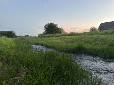 The image depicts a rural landscape, likely in the vicinity of the city of Cherven, Belarus, during twilight. A narrow, dark stream flows through a grassy meadow, with lush green reeds and taller grass lining its banks. In the background, a large, leafy tree stands prominently on a slight rise. To the left, several low-lying buildings and structures are visible amidst more trees, suggesting a rural settlement. To the far right, a dark, angular roof of a building emerges from the grass. The sky above is a soft gradient of pale blue and pink, with a sliver of the moon visible in the upper left quadrant. The overall atmosphere is tranquil and serene, characteristic of a countryside evening. There are no people or animals present in the image.