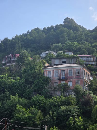The image depicts a hillside in Sarpi, Georgia, characterized by dense green foliage and several multi-story buildings integrated into the landscape. The architecture of the buildings appears varied, with some featuring red roofs and balconies, while others have a more weathered, faded appearance. The buildings are situated at different elevations, suggesting a community built on a sloping terrain. The sky above is clear and light blue, with a few faint clouds. In the foreground, electrical wires and poles are visible, indicating the presence of infrastructure. The overall impression is of a residential area nestled within a lush, natural environment.