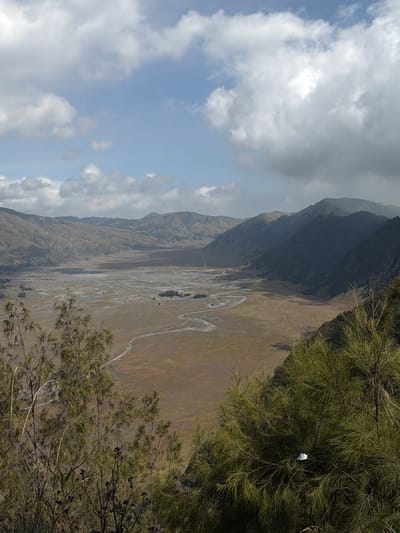 The image depicts a vast, arid valley with a winding river or dry riverbed. Rolling, barren hills form the backdrop, with a rugged mountain range in the distance. The sky is partly cloudy, with a mix of white clouds and patches of blue. In the foreground, a dense cluster of vegetation, including trees with fine needles and some darker, flowering bushes, partially obscures the view of the valley. A white object, possibly a piece of trash, is lodged in the branches of the dense green foliage on the right side of the frame. The scene appears to be a natural landscape, likely a caldera or basin, possibly within or near the vicinity of Cemorolawang, Indonesia, which is known for its volcanic landscapes. There are no people visible in the image, and no specific actions or interactions are taking place. The environment is characterized by dry, earthy tones in the valley, contrasted with the green of the foreground vegetation and the blue and white of the sky.