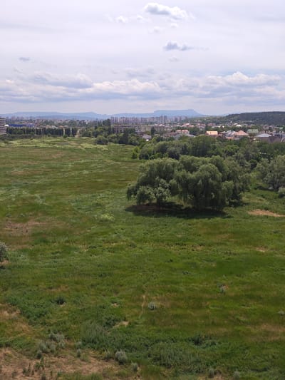 An aerial view captures a vast, uneven expanse of green grassland dotted with patches of brown dry grass and low-lying shrubs. In the middle ground, a dense cluster of mature trees with lush green foliage dominates the scene. Beyond the trees, a sprawling urban landscape unfolds, characterized by a mix of low-rise residential buildings with terracotta and grey roofs, and taller, modern apartment blocks. A distant mountain range, hazy and blue, forms the horizon under a partly cloudy sky. The overall scene depicts a transition from natural to urban environments. The location is Мирновское сельское поселение, Ukraine.