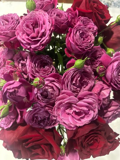 A close-up, top-down shot features a bouquet of roses. The bouquet is composed of two distinct types of roses: deep red roses and lighter pink-purple roses. The red roses are larger and fully bloomed, with velvety petals. The pink-purple roses are smaller and appear to be spray roses or miniature roses, tightly packed with numerous delicate petals. Several green rosebuds are interspersed throughout the bouquet. The roses are arranged in a dense cluster, with some stems and leaves visible. The background is a soft, blurred white, suggesting an indoor setting or a studio light. No people are present in the image. The image does not provide any specific location within Zugdidi, Georgia.
