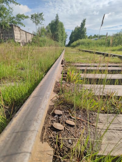An eye-level, low-angle shot captures a disused railway track in Metallostroy, Russia. The foreground is dominated by the weathered, metallic rail of the track, extending into the distance. Lush green grass and weeds sprout around the tracks, with some dry stalks of grass reaching upwards. In the midground, wooden railroad ties are visible beneath the grass. Further into the background, on the left side of the frame, a grey concrete wall runs parallel to the tracks. Beyond the wall and tracks, dense green trees and foliage form a natural backdrop against a partly cloudy sky. The scene suggests a forgotten or abandoned industrial area overtaken by nature.