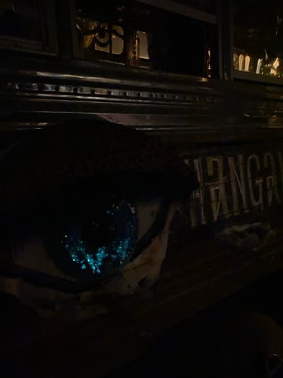 Captured in Baan Nai Suan, Thailand, the image presents a dimly lit interior or a night scene. A metal-framed structure with ornate details occupies the left side, possibly a door or window. Beside it, an aged sign with faded lettering is partially visible. In the foreground, a person wearing a sequined blue top stands, largely obscured by the darkness, with a patterned jacket or garment draped over their shoulder. The environment is dark, making details indistinct.