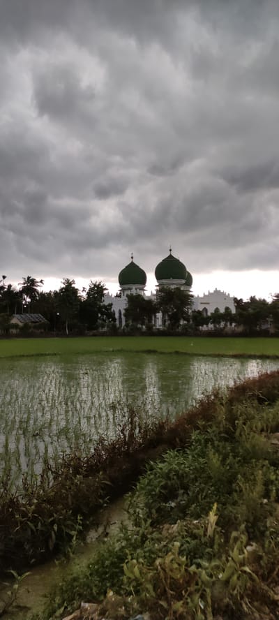 The image depicts a mosque with two prominent green domes, an architectural style commonly found in Indonesia, specifically in Kumbang. The mosque is situated amidst lush greenery, with trees and palm trees surrounding it. In the foreground, a paddy field is visible, with water reflecting the overcast sky and the green shoots of young rice plants. The sky is filled with heavy, dark clouds, suggesting impending rain or a recent downpour. The overall scene is one of rural tranquility, with the mosque serving as a focal point against the natural landscape. There are no people or animals visible in the image. The lighting is subdued due to the cloudy conditions, creating a somewhat somber atmosphere.