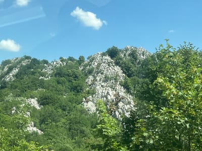 The image depicts a rocky, forested mountain landscape under a bright blue sky with scattered white clouds. The foreground is dominated by lush green foliage from trees and bushes. In the midground and background, a rugged mountain slope is visible, characterized by exposed gray rock formations interspersed with dense green vegetation. The overall scene suggests a natural, mountainous environment. There are no people or buildings visible. The location is identified as Dragalj, Montenegro.