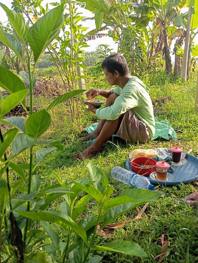 A man is squatting in a grassy field in Waung, Indonesia, examining something in his hands. He is wearing a light green long-sleeved shirt and brown shorts. A blue tray sits on the grass nearby, holding two glasses of liquid with red lids, a small red bowl, a bag of snacks, and a bottle of Aqua water. The area is surrounded by greenery, including leaves and banana trees.