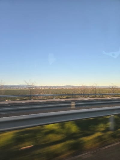 The image captures a highway scene within the administrative area of Diadovo, Bulgaria, as viewed from a moving vehicle. The foreground features two parallel, grey metal guardrails, horizontally traversing the lower half of the frame, exhibiting motion blur. Below the lower guardrail, blurred green and brown vegetation streaks across the immediate foreground. Beyond the guardrails, a two-lane paved road with visible lane markings shows slight motion blur, indicating vehicular movement. Adjacent to the road, a wide, flat field of green crops extends towards the horizon, dotted with several deciduous trees displaying bare branches. In the distant background, a low-lying horizon reveals a cluster of structures, likely buildings, situated at the base of faint hills or mountains. The sky is clear, displaying a gradient from a lighter blue near the horizon to a deeper blue at the top. The scene is illuminated by natural daylight, casting a soft, possibly late afternoon or early morning light. No individuals are depicted within the frame. Faint, irregular reflections are visible on the upper portion of the image, consistent with a photograph taken through a window.