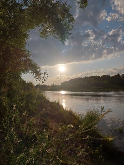 The image depicts a serene natural landscape along a riverbank, bathed in the warm glow of the setting sun. The sun, a bright orb, is positioned in the upper left quadrant of the frame, casting a shimmering reflection on the water's surface. The river itself flows gently, its waters reflecting the sky and the surrounding foliage.
On the left bank, lush green vegetation and trees dominate the foreground, with their branches arching towards the sky, some partially obscuring the view. The ground is covered with grass and other low-lying plants. In the background, a dense forest of trees lines the opposite bank of the river, creating a natural, unspoiled vista. The sky is a canvas of blue, dotted with scattered white and grey clouds, adding depth and texture to the scene. The overall atmosphere is one of tranquility and natural beauty. It is not possible to determine the specific location in the city of Chkalov, Russia, from the image.