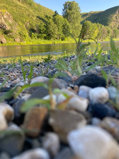 The image depicts a low-angle view of a riverbank in Bol'shearslangulovo, Russia. In the foreground, a bed of grey, white, and black pebbles is scattered across the ground, with several blades of green grass emerging between them. The river flows gently in the middle ground, its surface reflecting the sunlight. The background features a lush green hillside covered in trees, with a clear blue sky overhead. The scene conveys a sense of natural tranquility.