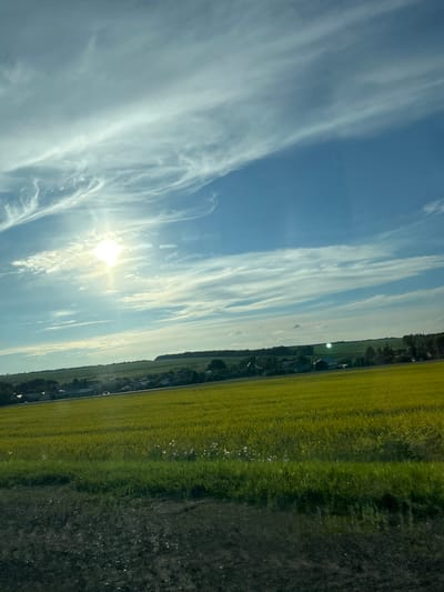 This is a landscape photograph taken in a rural setting in the Ural region of Russia. The image is oriented vertically. The scene depicts a bright, sunny day with a clear blue sky filled with wispy white clouds. The sun is prominently visible, casting a strong glare across the sky.

In the foreground on the right, there is a dark, rough terrain, possibly a dirt road or field. To the left of this dark area is a vibrant, green field, which transitions into a bright yellow field further to the left. This yellow field appears to be a crop, possibly rapeseed or canola, given its color and expanse. Scattered white flowers are visible in the green and yellow fields.

Along the horizon, a line of trees and scattered houses or buildings suggests a small settlement or a rural community. The sun's glare and the direction of the light indicate it is likely late afternoon or early evening, a time often referred to as the "golden hour" for photography. The overall mood of the image is serene and peaceful, capturing the beauty of the natural landscape. There is no visible text in the image.