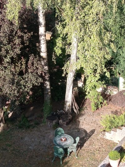 The image depicts a birdhouse mounted on a tree trunk in a garden setting. The birdhouse is made of wood and has a sloped roof. The tree trunk is vertical and has rough bark. The surrounding area is filled with lush green foliage from trees and bushes. In the foreground, a metal table and chairs are set up on the grass. The table has an ashtray with three small white objects inside. The scene appears to be a quiet, outdoor space. The image is taken from a high angle, looking down at the scene. There are no people or animals visible in the image. The garden has a natural, untamed look, with fallen leaves and debris scattered on the ground. The sunlight casts shadows on the ground, indicating a bright day. The overall impression is one of a peaceful, bucolic environment.
