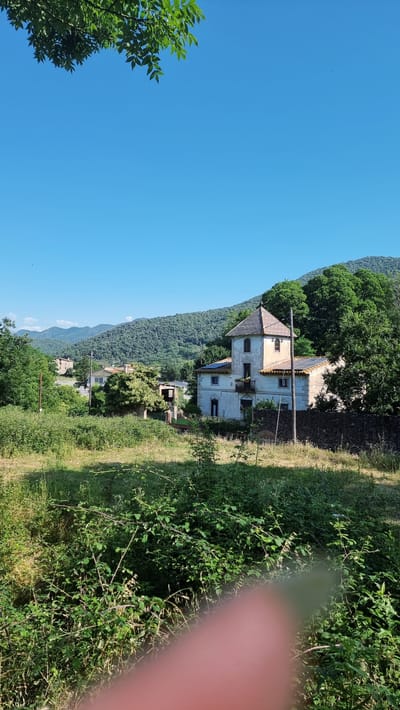 The image shows a rural scene in Sant Joan les Fonts, Spain. In the foreground, a patch of dense green foliage and thorny bushes is visible, with a blurry pink finger obscuring the bottom right corner of the frame. Beyond the bushes, a field of dry grass stretches towards a house with a distinctive tower. The house is light-colored with a dark, conical roof and appears to be two stories high, with several windows and a balcony. Solar panels are visible on the roof. A dark stone wall runs along the property line. In the middle ground, a few other buildings and trees can be seen, as well as a telephone pole. The background is dominated by a lush, green mountain range under a clear blue sky. The overall impression is one of a quiet, sunny day in the Spanish countryside.
