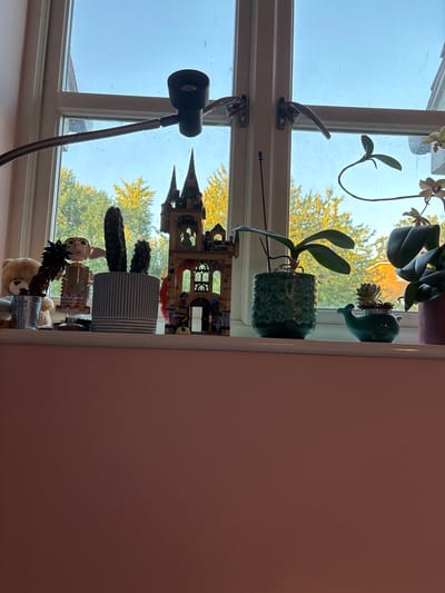 A window sill holds plants in pots, a Lego castle, a cactus, and a small lamp. Outside the window, trees with yellowing leaves are visible. The plants include orchids and succulents, one in a green whale-shaped planter. A small teddy bear sits near the base of the sill. Part of a pink wall is visible on the right side of the image.