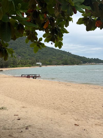 The image shows a tranquil beach scene in Hoa Thang, Vietnam. In the foreground, a sandy beach stretches towards the turquoise water. A red trailer with two wheels sits partially submerged at the water's edge. Lush green trees overhang the scene from the top of the frame. In the background, a verdant, tree-covered hill rises from the coastline under a cloudy sky. A small white building is visible on the shore near the base of the hill. The water is calm with gentle ripples, and a few small wooden posts are scattered in the shallow water. The overall impression is one of natural beauty and peacefulness.