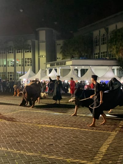 The scene is a night performance in front of a large building. The building is a two-story structure with large windows and a sign that reads "Gedung Aula". The scene is lit by several white tents and streetlights. There is a group of people in front of the building, many dressed in traditional Indonesian clothing, some of whom are holding ropes and interacting with a large, brown, bull-like puppet. The puppet is on the ground and being controlled by several people who are walking behind it. Two people are standing in front of the puppet and holding ropes, one with their right hand and the other with their left. The people are standing on a brick paved area, and there is a parking lot to the left of the scene, and a crowd watching the performance. This is the street in front of the building in the city of Batu, Indonesia, at the coordinates -7.867 latitude and 112.514 longitude.