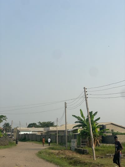 The scene depicts an unpaved street in Mosafejaw, Nigeria, under a hazy, light blue-grey sky. In the immediate foreground, a dirt road leads into the frame from the lower left. On the right, a male subject in a dark 'BROOKLYN 1' sleeveless shirt and dark shorts stands, facing left. Directly behind him, a leaning wooden utility pole supports multiple power lines. Lush green, large-leafed plants and a black elevated water tank are visible behind this pole. Further along the road, three individuals walk away from the camera: one in a dark patterned garment, followed by two males, one in a striped shirt and another in a white shirt. A low concrete block wall delineates the roadside from a series of single-story buildings with various roofing materials. Another utility pole with power lines is visible further down the road on the left. A partially visible sign, possibly reading 'PE JESUS,' is present near a small green structure behind the leaning pole. Distant buildings and a line of trees are visible against the horizon. A small, dark, airborne object is present in the upper right quadrant of the sky.