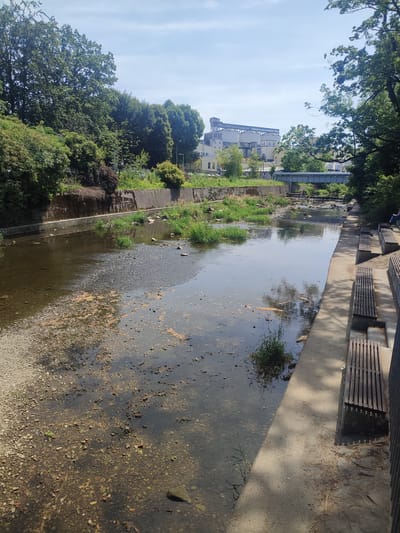 The image shows a view of the Biała River in Bielsko-Biała, Poland. The river is shallow with visible rocks and some aquatic vegetation. On the right bank, there is a paved walkway with several wooden benches. In the background, on the left side of the river, there are trees and a concrete embankment. Further in the background, there are industrial buildings. The sky is blue with some clouds. The scene appears to be a public park or recreational area along the river.