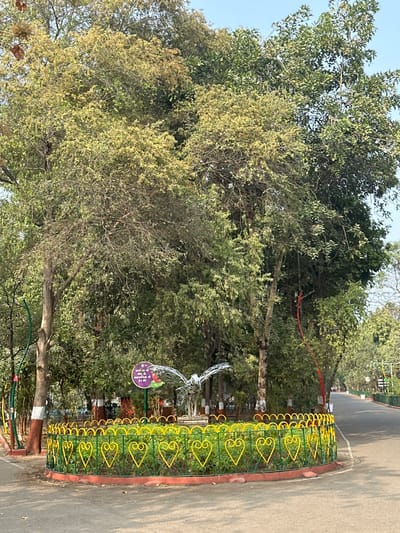 The scene depicts a public park, specifically Kamati Baug (Sayaji Baug) in Vadodara, Gujarat, India. A dark gray asphalt pathway curves from the lower left foreground into the right midground, bordered by mature trees and a central landscaped island.
In the midground, a circular garden bed, approximately 3 meters in diameter, is enclosed by a low fence. This fence is constructed from yellow wrought iron in repeating heart-shaped motifs, mounted on a green rail above a reddish-brown brick base. Within this garden, a silver-toned metallic sculpture of a bird in flight, with outstretched wings, stands centrally. The bird sculpture appears to be crafted from layered or woven metallic strips, measuring approximately 1.5 to 2 meters across its wingspan. To the left of the sculpture, a purple circular sign displays white text in Gujarati script with a small colorful floral graphic below. The garden bed contains low green shrubbery.
Numerous trees with dense foliage, exhibiting various shades of green and yellowish-green, dominate the background and flank the pathway. Several tree trunks along the path have their bases painted white. A partial view of a curved red metal structure is visible on the right side of the path, beyond the heart-shaped railing. The sky is clear and light blue, indicating bright, direct sunlight. No people or animals are visible in the scene.