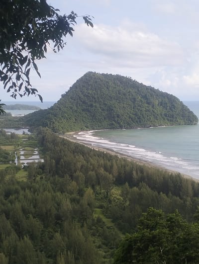 This is a landscape photograph of a lush, green coastline in the city of Babahie, Indonesia. In the foreground, dark green foliage from a tree hangs into the frame from the left, obscuring a portion of the sky. The middle ground is dominated by a large, verdant, tree-covered mountain that juts out into the turquoise ocean. A sandy beach lines the base of the mountain, with white waves gently breaking onto the shore. Beyond the mountain and to the left, several smaller islands are visible in the distance. The foreground also shows a section of what appears to be cultivated land or rice paddies with water, bordered by a dense forest of pine-like trees that runs along the coastline. The sky above is partly cloudy, with soft white clouds against a pale blue backdrop. The overall scene depicts a tranquil and scenic coastal environment.