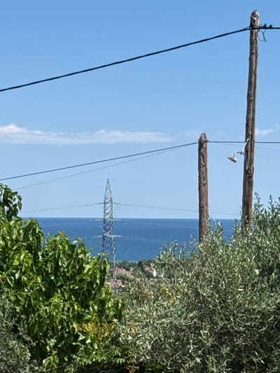 In Asprovalta, Greece, on a clear, sunny day, the image captures a scenic view overlooking the sea. In the foreground, lush green trees partially obscure the view of the landscape. Two wooden utility poles stand prominently, with power lines stretching across the frame. One pole is adorned with a light fixture. In the middle ground, a lattice-like power pylon stands tall against the horizon. Beyond the pylon, the deep blue sea stretches out, meeting the light blue sky with a few wispy white clouds. The distant shoreline is dotted with buildings and more greenery, suggesting a coastal town or village. The overall scene depicts a tranquil, natural environment integrated with man-made infrastructure.