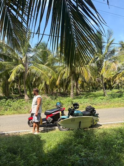 A man is standing next to a motorcycle, which is parked on the side of a road. The motorcycle has a surfboard strapped to its side and a helmet on the handlebars. The man is wearing a light-colored t-shirt and shorts, and appears to be holding a yellow object. The scene is set in a tropical location, with numerous palm trees lining the road and lush green vegetation growing alongside it. The sky is clear and blue, suggesting it is daytime and the weather is sunny. The image is shot from a slightly elevated angle, looking down on the scene. The overall mood appears relaxed and summery. There is some visible text on the surfboard, which reads "WET TIKI", and "HONDA" on the motorcycle.
