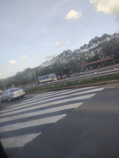 This image depicts a roadside scene in Juja ward, Kenya, captured from a low angle. In the immediate foreground, a broad zebra crossing with alternating white and dark gray stripes extends diagonally across an asphalt road. A metallic silver Mercedes-Benz sedan is positioned beyond the zebra crossing, facing left, with its rear and a yellow license plate visible.

Beyond the foreground road, a grassy median with a multi-bar metal guardrail separates it from a second, parallel asphalt road. On this second road, a light-colored bus, possibly white with blue or gray accents, is stationary. A group of approximately 10-15 individuals, indistinct but appearing to be standing, are gathered near the bus, consistent with passengers. Further along this road, a brown-roofed, open-sided shelter, resembling a bus stop, is visible, with several more people present beneath or adjacent to it. Another metal guardrail borders the far side of this road.

The background is dominated by a dense, continuous line of tall, slender trees, likely eucalyptus, forming a dark green, uniform canopy. Above the treeline, the sky is light blue with scattered white cumulus clouds, indicating daylight conditions. The scene suggests a busy roadside area with public transportation activity.